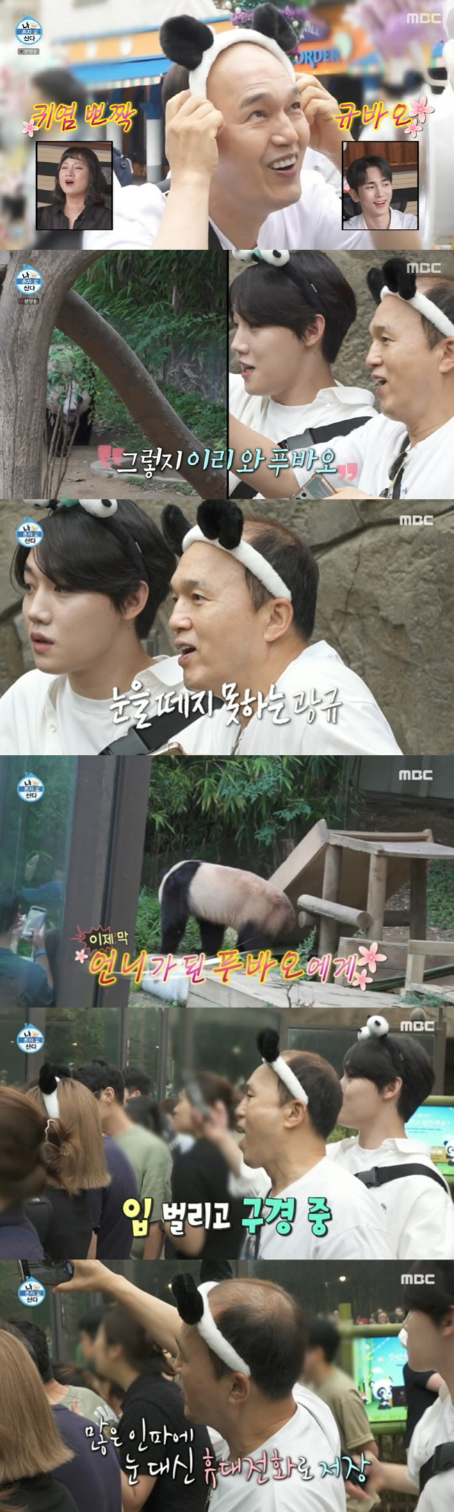 "푸바오, ★들의 슈스" 보아·사쿠라→김광규, 입덕시킨 마성의 판다 [S…