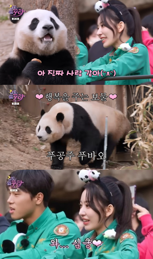 "푸바오, ★들의 슈스" 보아·사쿠라→김광규, 입덕시킨 마성의 판다 [S…