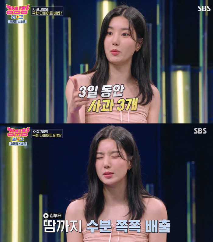 "메추리알 4알→사과 1개" 걸그룹, 건강 걱정 부른 '극단 다이어트법'…