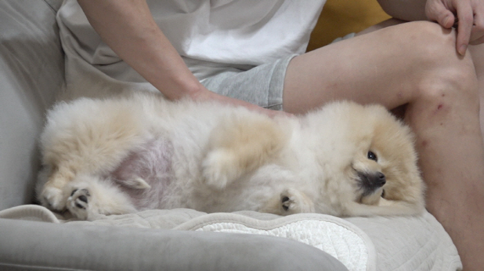 이경규 “건강 위해 3kg 감량”..건강과 다이어트의 연관성 강조 (개훌…