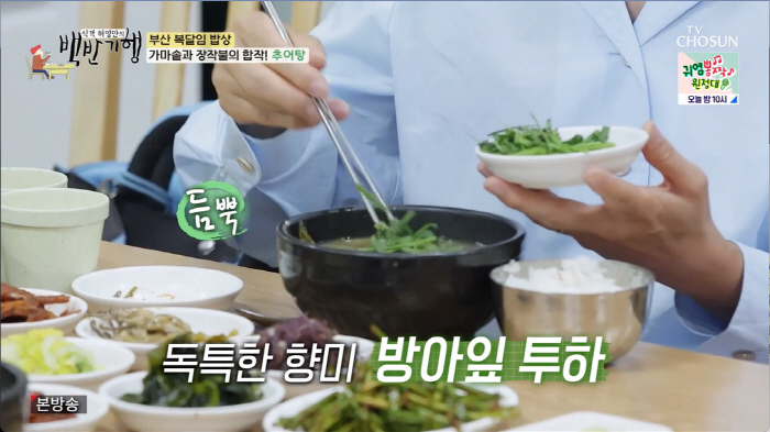 '백반기행' 나경원 "부부싸움 안하는 부부가 어딨냐"…'별거·이혼설' 해…