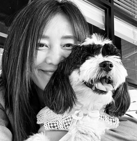 [전문] '장필순 반려견 사망' 업주, 2차입장 "연예인 영향력 이용해 …