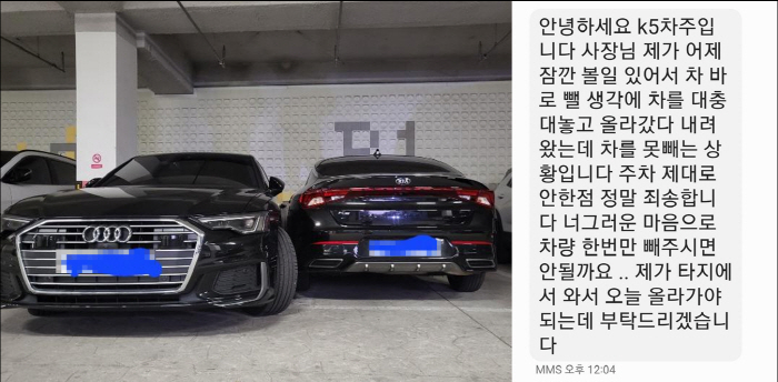 2칸 주차 '참교육'하자…민폐 차주, "주차 제대로 안 한 점 죄송합니다…