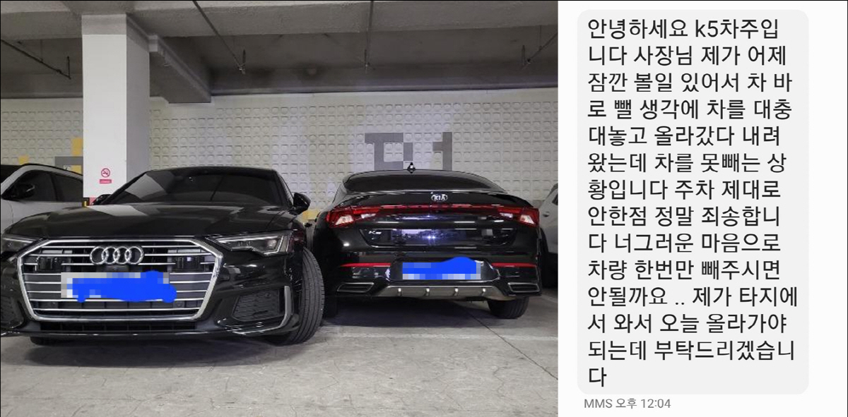 2칸 주차 '참교육'하자…민폐 차주, "주차 제대로 안 한 점 죄송합니다…