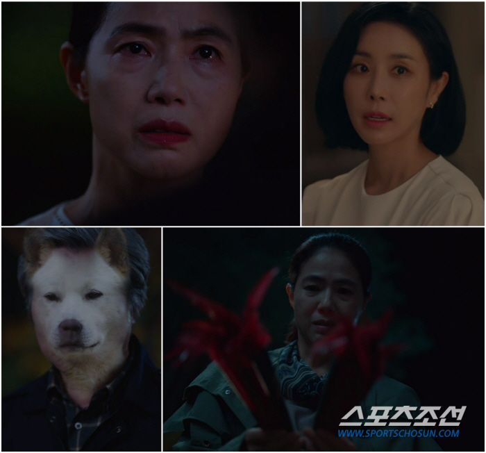 '아씨 두리안', 후반부 관전포인트 4가지…두리안·김소저·백도이의 '삼각…