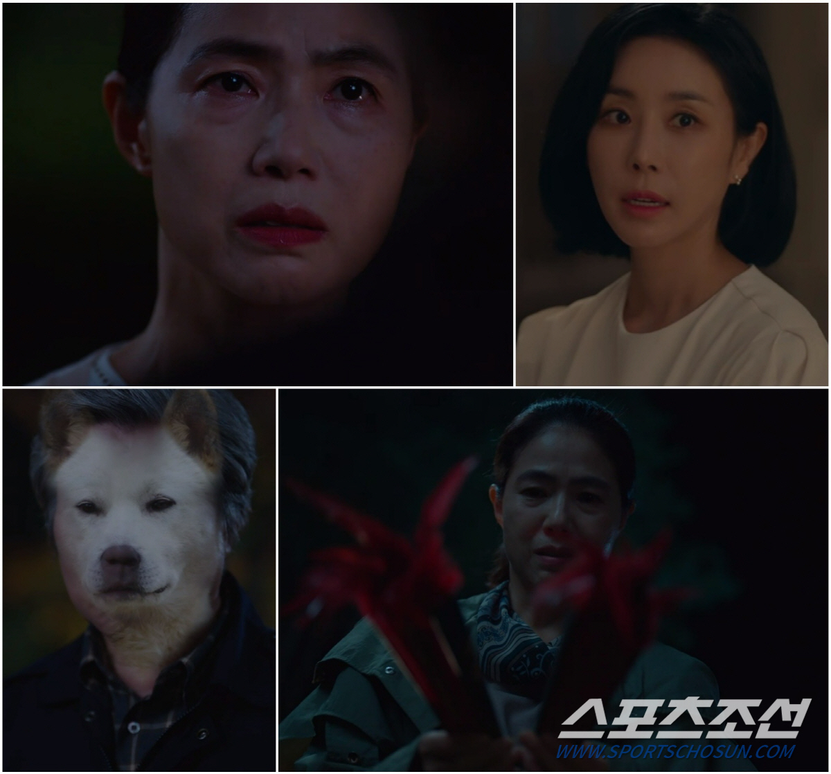 '아씨 두리안', 후반부 관전포인트 4가지…두리안·김소저·백도이의 '삼각…