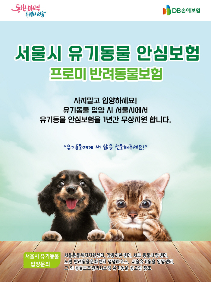 DB손해보험, '2023년 서울시 유기동물 안심보험 지원사업' 최종 사업…