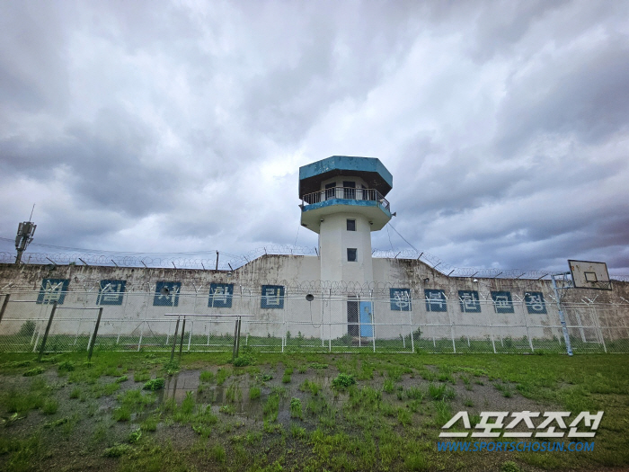 "어느 것 하나 빠지는 것이 없다" 살수대첩 물놀이부터 숲 체험까지…전남 장흥으로 떠나요