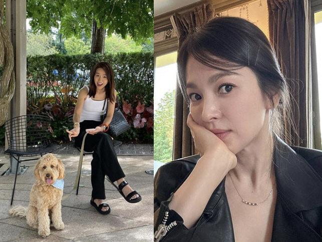 송혜교 직접 "하트♥" 댓글 단 반가운 이진 소식, 뉴욕서 밝게 웃는 얼…