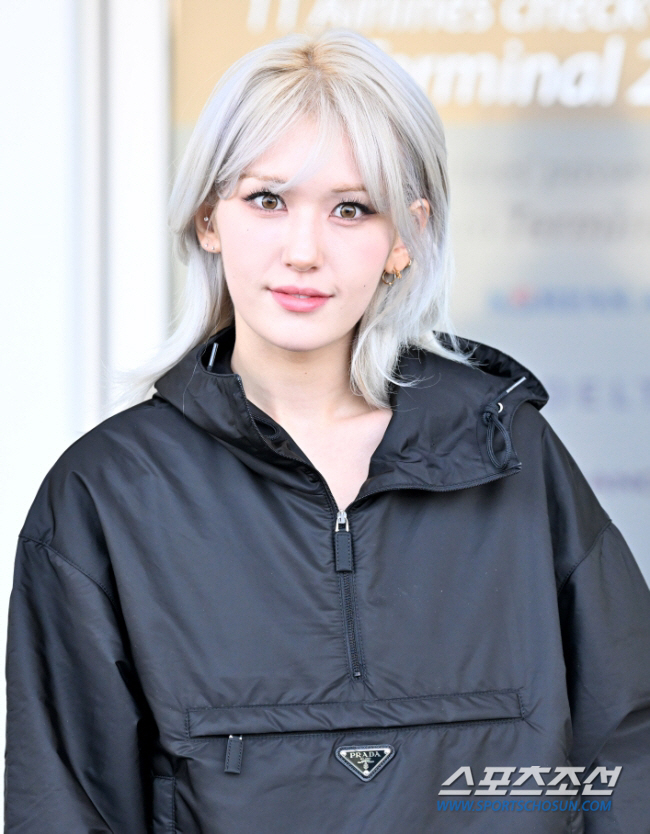 전소미, 신곡 발표 2일만에 '트레이싱 의혹' 인정 "해당 장면 삭제 및…
