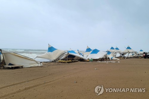 (포항=연합뉴스) 손대성 기자 = 제6호 태풍 '카눈'이 한반도에 상륙한 10일 오전 경북 포항시 북구 흥해읍 칠포리 칠포해수욕장에 천막이 강한 바람 등으로 쓰러져 있다. 2023.8.10 sds123@yna.co.kr