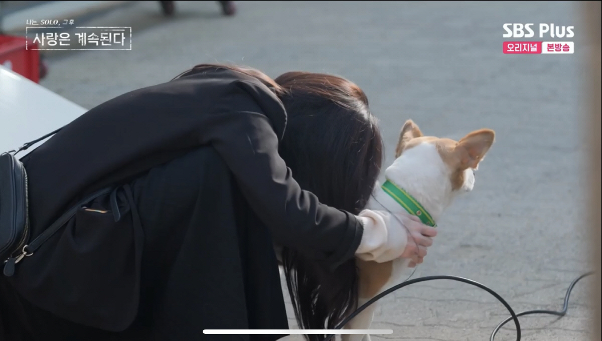 [SC리뷰]정숙, 개 성기 만지며 수컷 확인…"영철은 간보는 사람"('나…