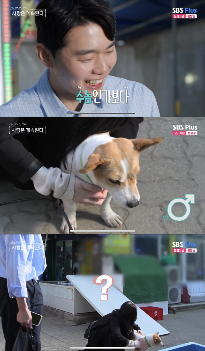 [SC리뷰]정숙, 개 성기 만지며 수컷 확인…"영철은 간보는 사람"('나…