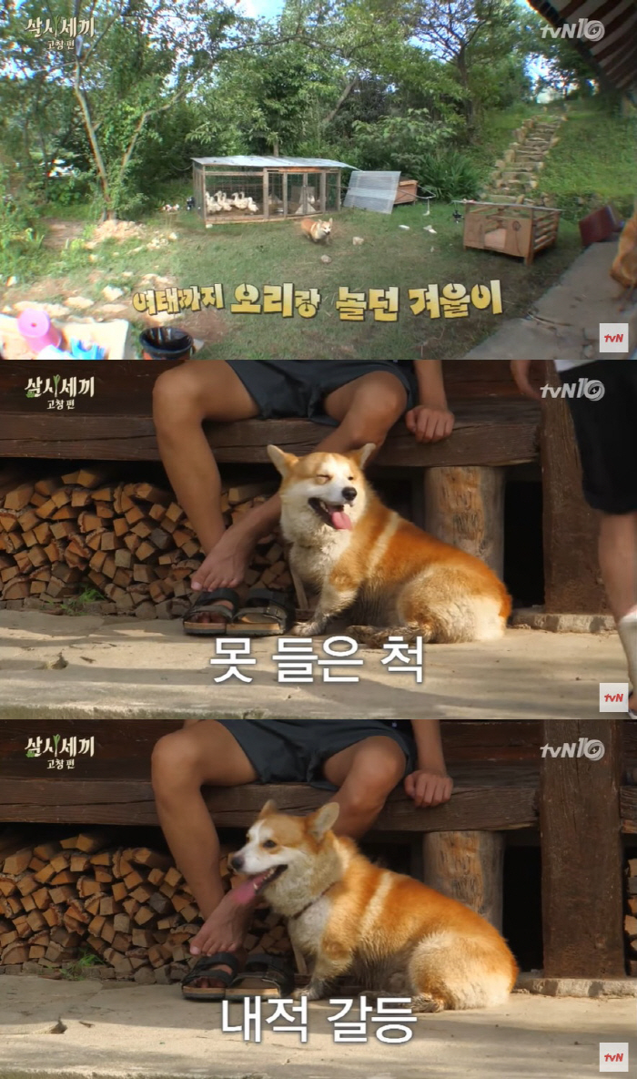유해진 "겨울이 추모관, 고장난 냉장고에 마련…오리 인형·밥그릇 보관" …