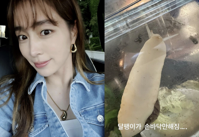 '둘째 임신' 이민정, 달팽이도 잘 키워? "손바닥만해짐" 깜짝