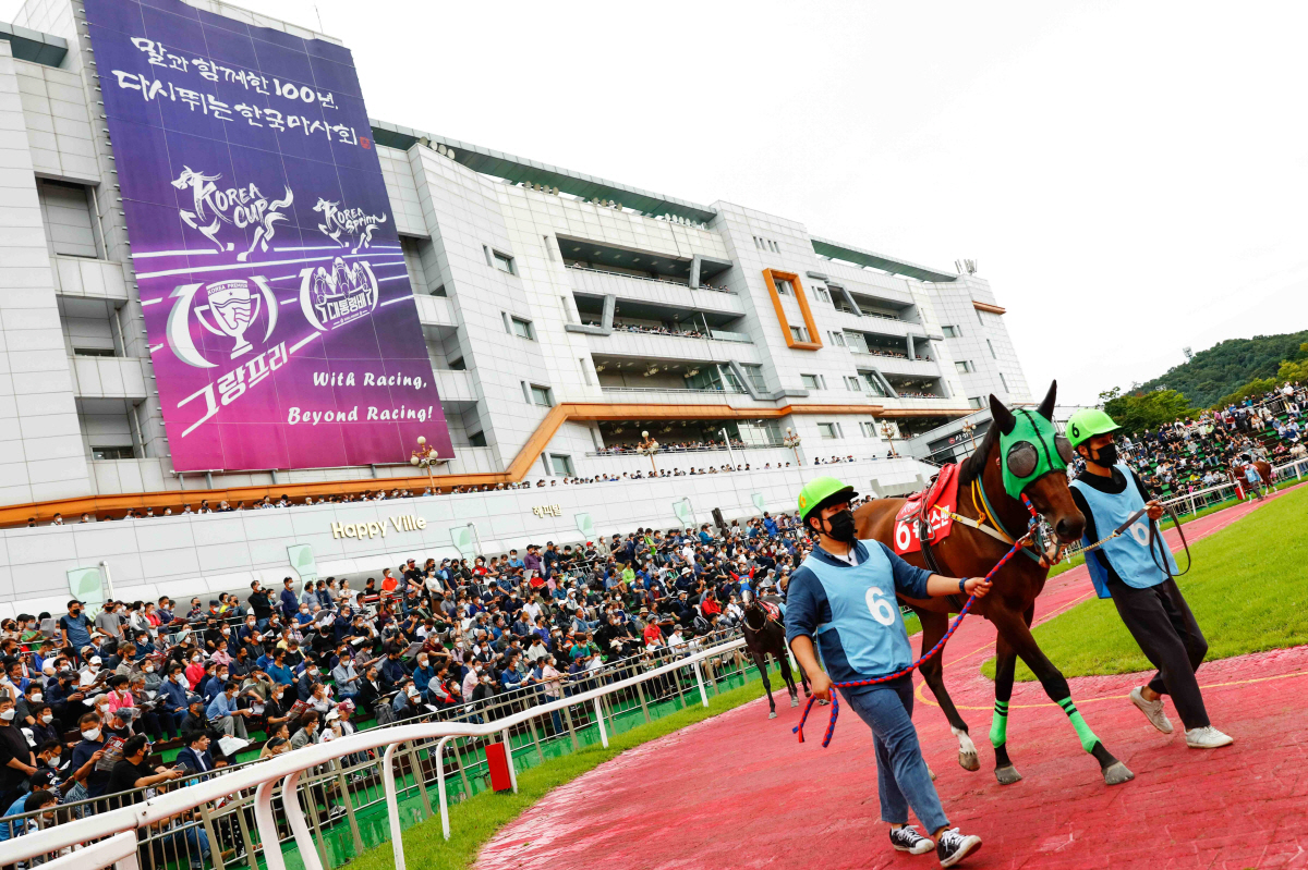 [경마]글로벌 경마 축제 코리아컵·코리아스프린트 3주 앞으로!