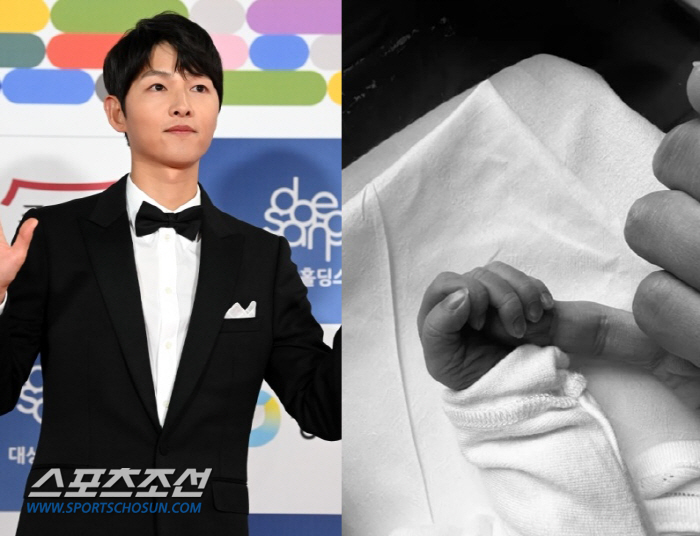 [SC이슈] "결혼X출산 후 위축돼"…송중기→김희선도 못 피한 ★들의 '…