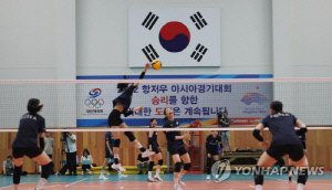 한국 여자배구 아시아선수권 출전 엔트리 14명 확정