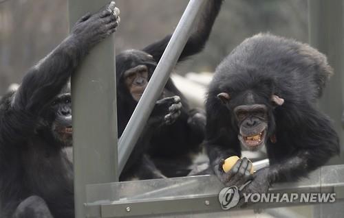 [연합뉴스 자료사진]