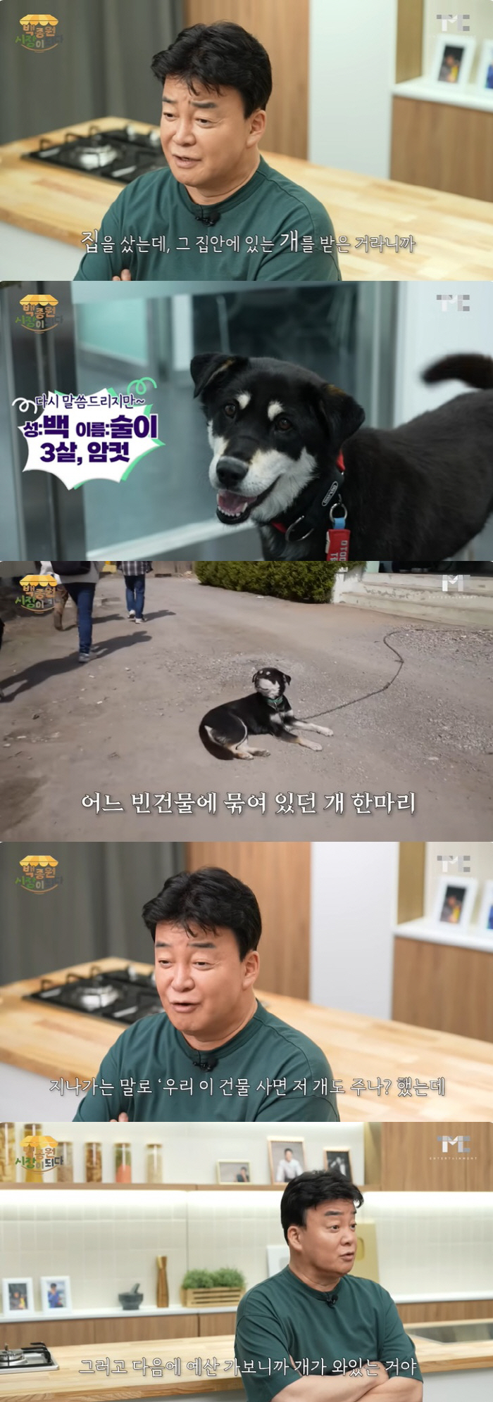 백종원, 폐건물서 유기견 구조 "건드리면 죽어"…'생명의 은인' 미담 추…