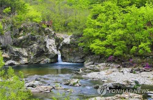 양구군, 하반기 DMZ 평화의 길 테마 노선 운영 시작