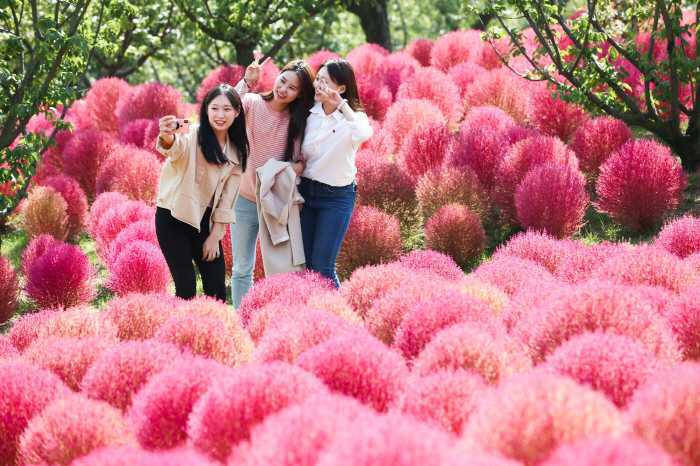 에버랜드, 80일간의 축제 …올해부터 '해피 땡쓰기빙' 집중
