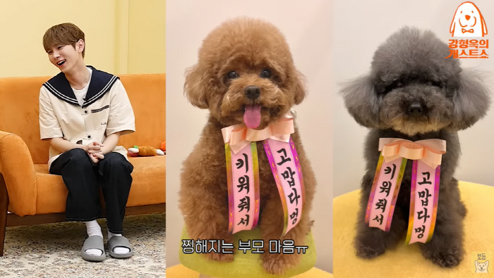 "키워줘서 고맙다"..샤이니 키 "개 유치원 어버이날에 눈물"(보듬TV)…