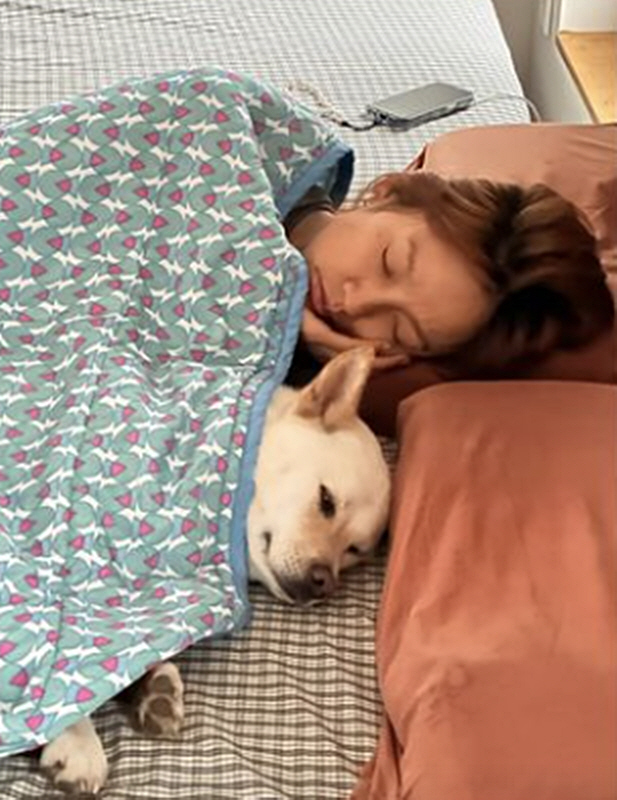 이효리, '사람처럼 누워자는 반려견'과 낮잠…한 이불 덮고 자는 식구