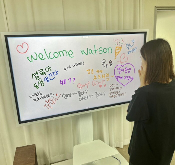 '오상진♥' 김소영, 직원들도 축하한 '둘째 임신' 서프라이즈 "왓슨, …