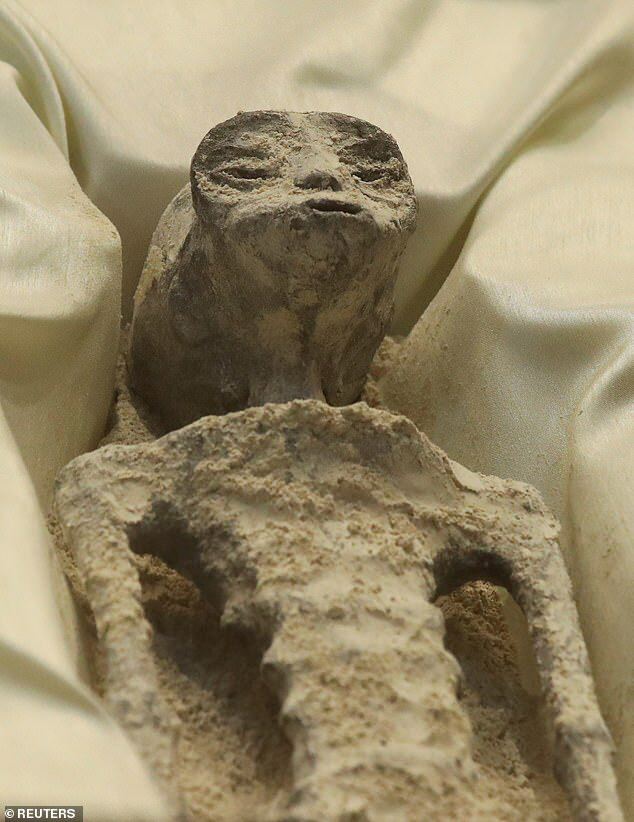 “나이 1800살” 알 품고 있는 외계인 미라 최초 공개