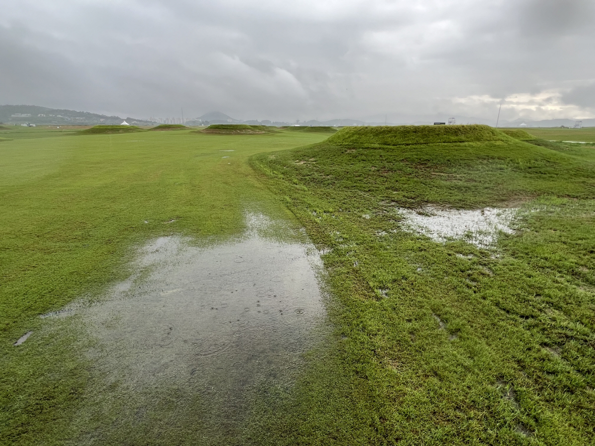 '비정상적 코스 상태' KPGA 비즈플레이-전자신문 오픈, 둘째날 일정 …