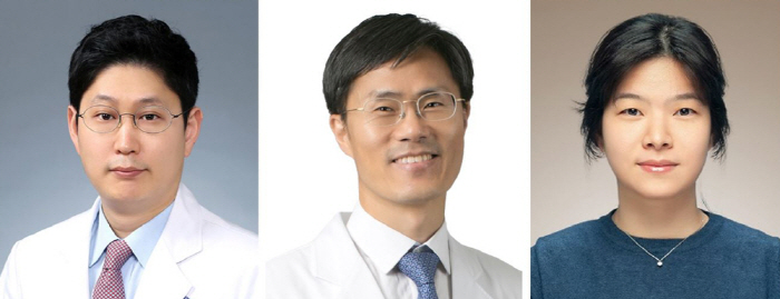 "재발성 난소암 대상 3제 요법 효과 확인…무진행 생존 15개월 향상"