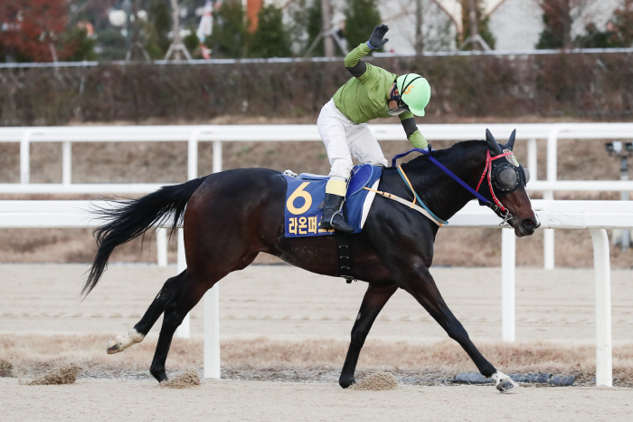[경마]2023년 퀸즈투어 F/W 시즌 시작! 제10회 제주특별자치도지사…