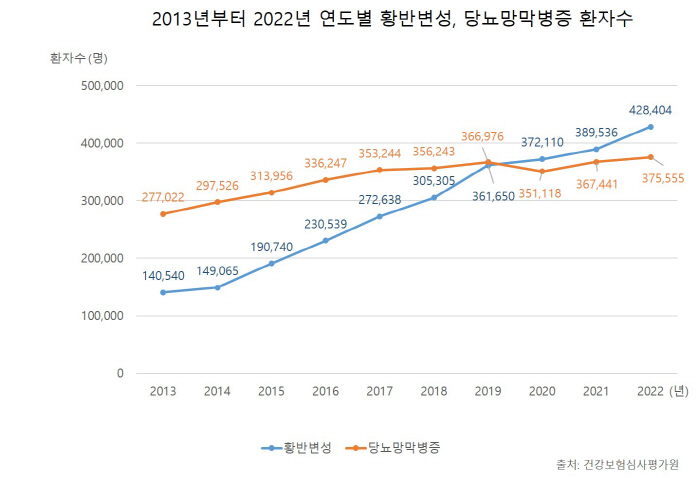 '실명 질환' 황반변성 10년간 3배 증가…당뇨망막병증은 1.3배 늘어
