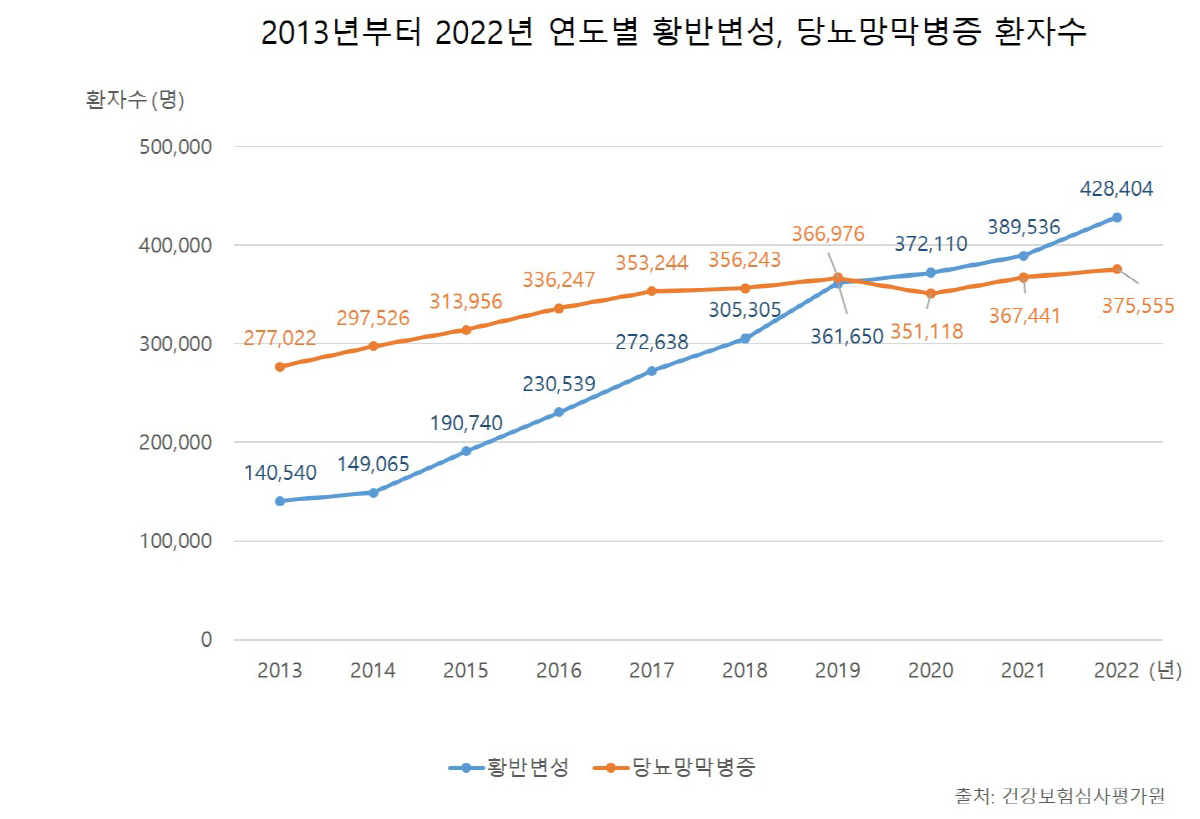 '실명 질환' 황반변성 10년간 3배 증가…당뇨망막병증은 1.3배 늘어