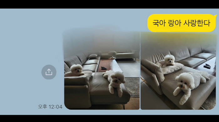 신세경, 비행기 타기 전 가족에 꼭 문자하는 '효녀'...父 "잘 다녀와…
