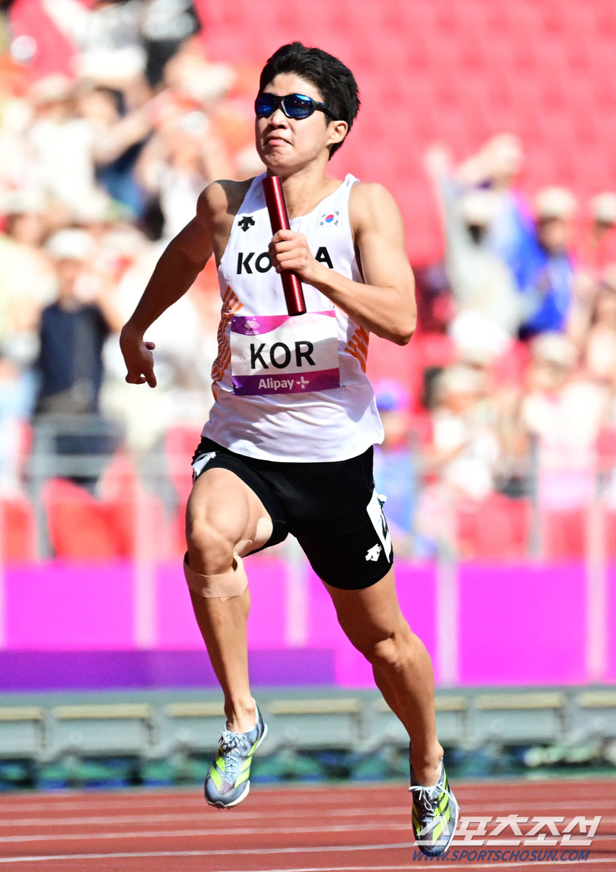 [항저우현장]'37년 노메달 한을 풀었다' 남자 400m 계주, '한국신…