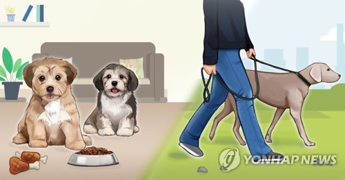 홍소영 제작. 사진합성.일러스트