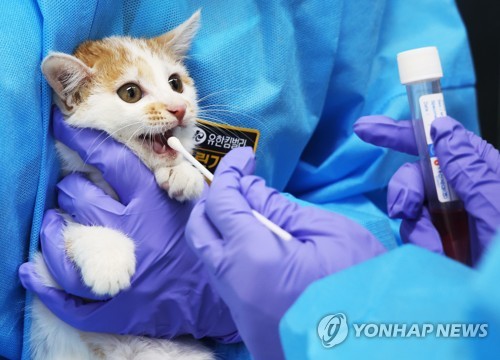 연합뉴스 자료사진