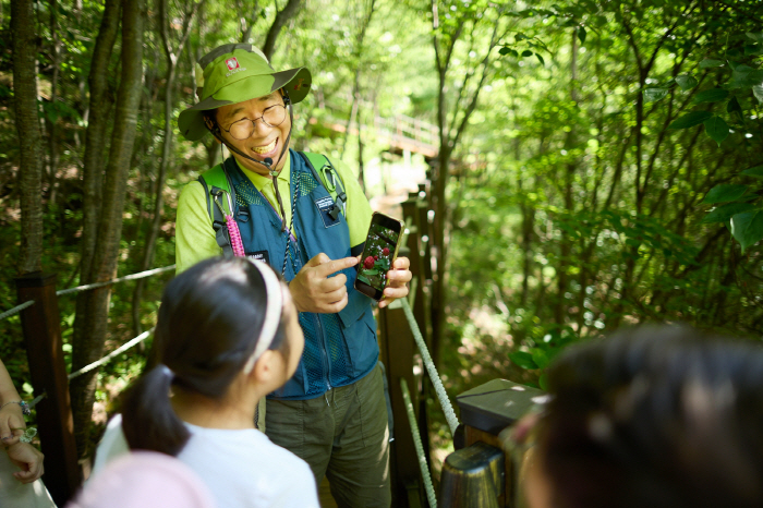 강원랜드 '단체의 숲'·'하늘길 둘레길'…산림청 선정 명품숲·명품숲길 뽑…