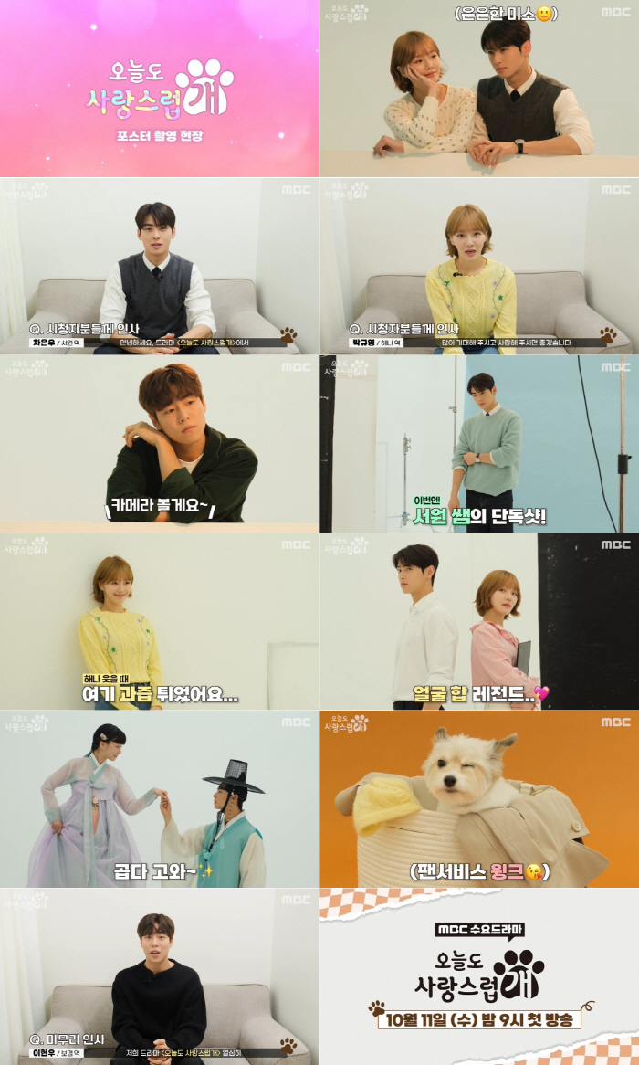 차은우X박규영X이현우, 프로 연기견 애교에 '엄마 미소'…'사랑스럽개' …