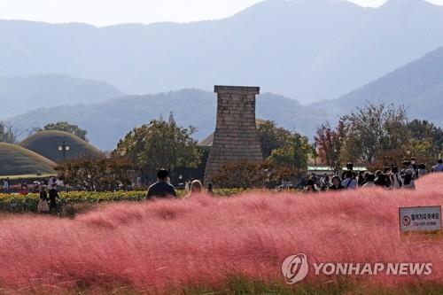 [연합뉴스 자료사진]