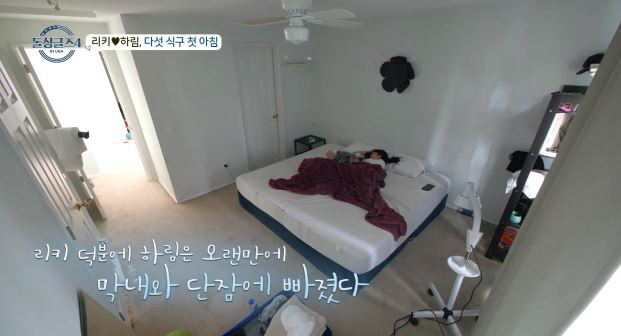 [SC리뷰]리키, ♥하림과 이제 동거했는데…전남편 만났다 "이게 현실"(…