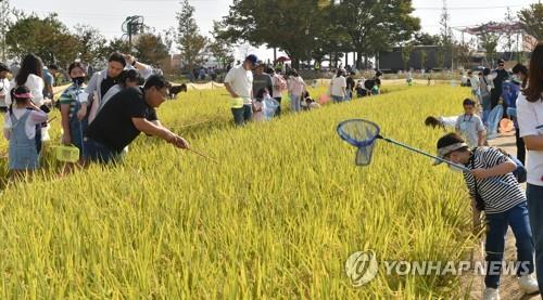 '가을 여행 오세요'…전북도, 농촌 여행지 9곳 선정