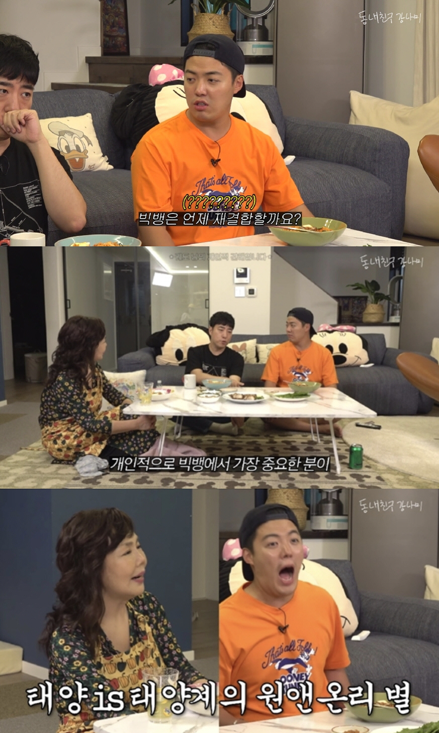 "빅뱅 재결합 쉽지 않아, 중요한건 태양"…강남-궤도가 본 가능성('강나…