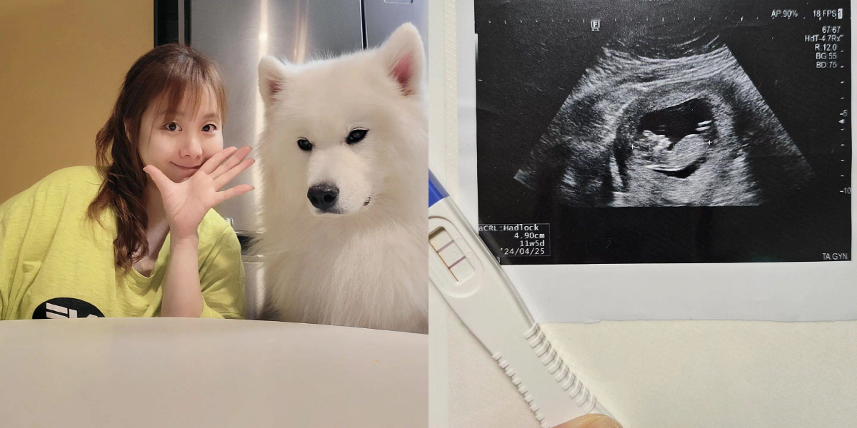 '꼬마 요리사'가 엄마가 된다니..노희지, 결혼 7년 만에 임신