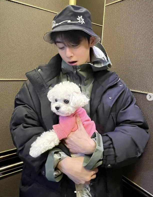 차은우, 벌써 겨울이네…패딩 차림에도 수트 입은 듯 훤칠