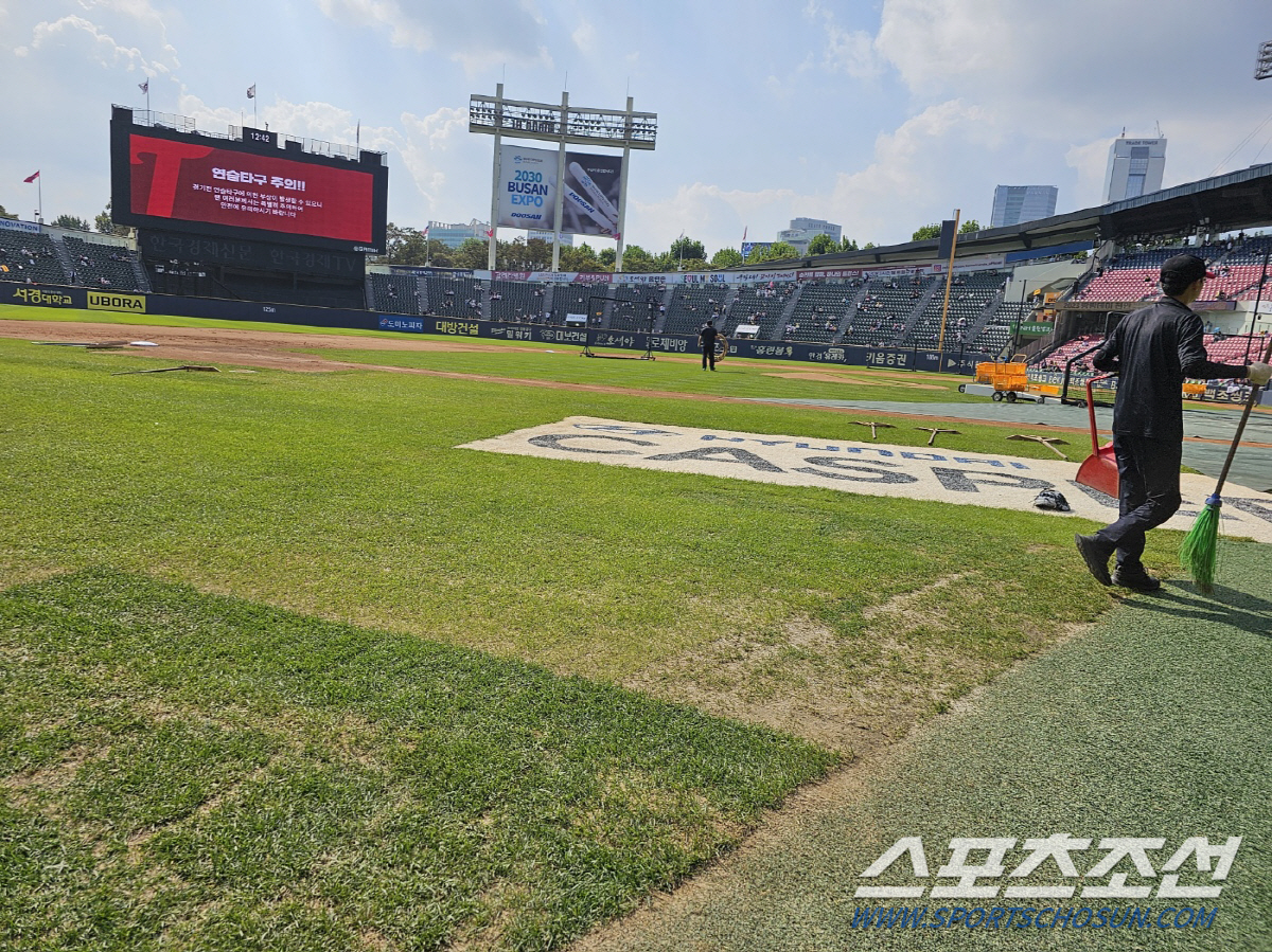 "두달은 갈 것" '미끌 휘청 몸개그' 가을야구 앞둔 잠실야구장의 잔디 …