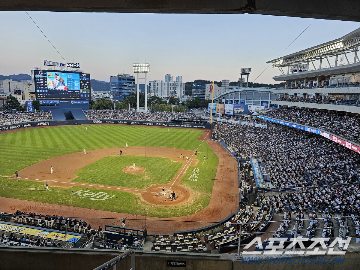 "두달은 갈 것" '미끌 휘청 몸개그' 가을야구 앞둔 잠실야구장의 잔디 …