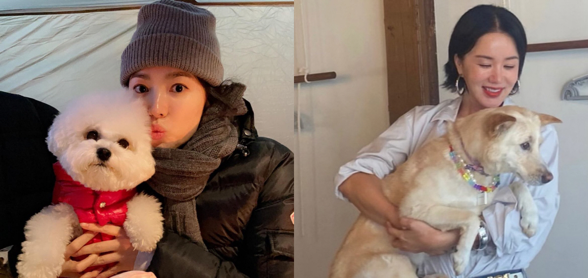 송혜교, 길거리서 톱스타와 깜짝 만남..누군가 보니 절친 엄정화